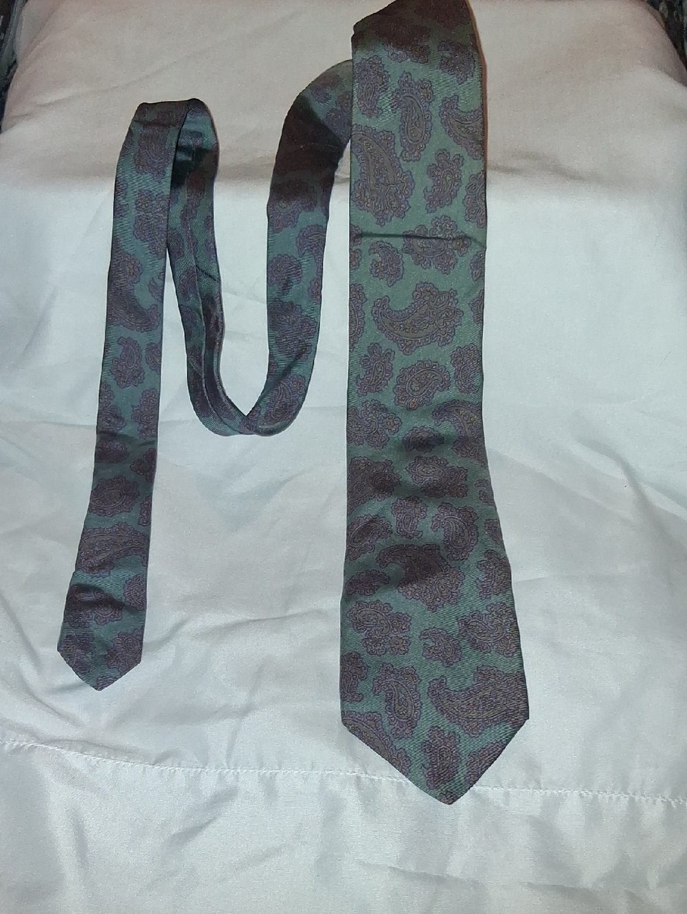 Neil Martin 100% Silk Paisley Dress Tie in Green and Black